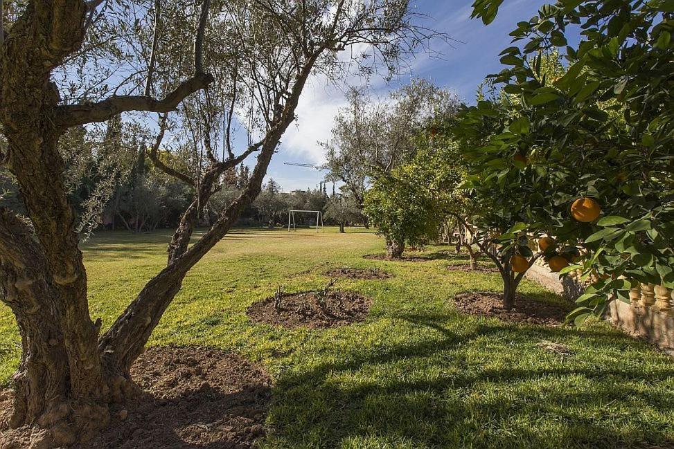 Villa Zahra Marakéš Exteriér fotografie